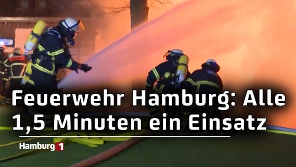 Bilanz der Feuerwehr: Mehr Brandeinsätze und mehr Rettungsdiensteinsätze in Hamburg