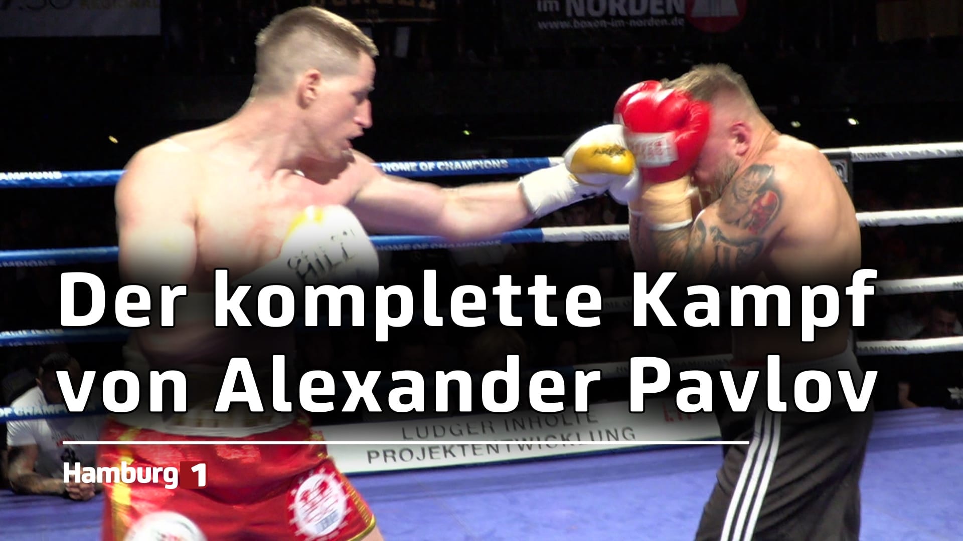 Alexander Pavlov vs Miroslav Serban Der Kampf in voller Länge