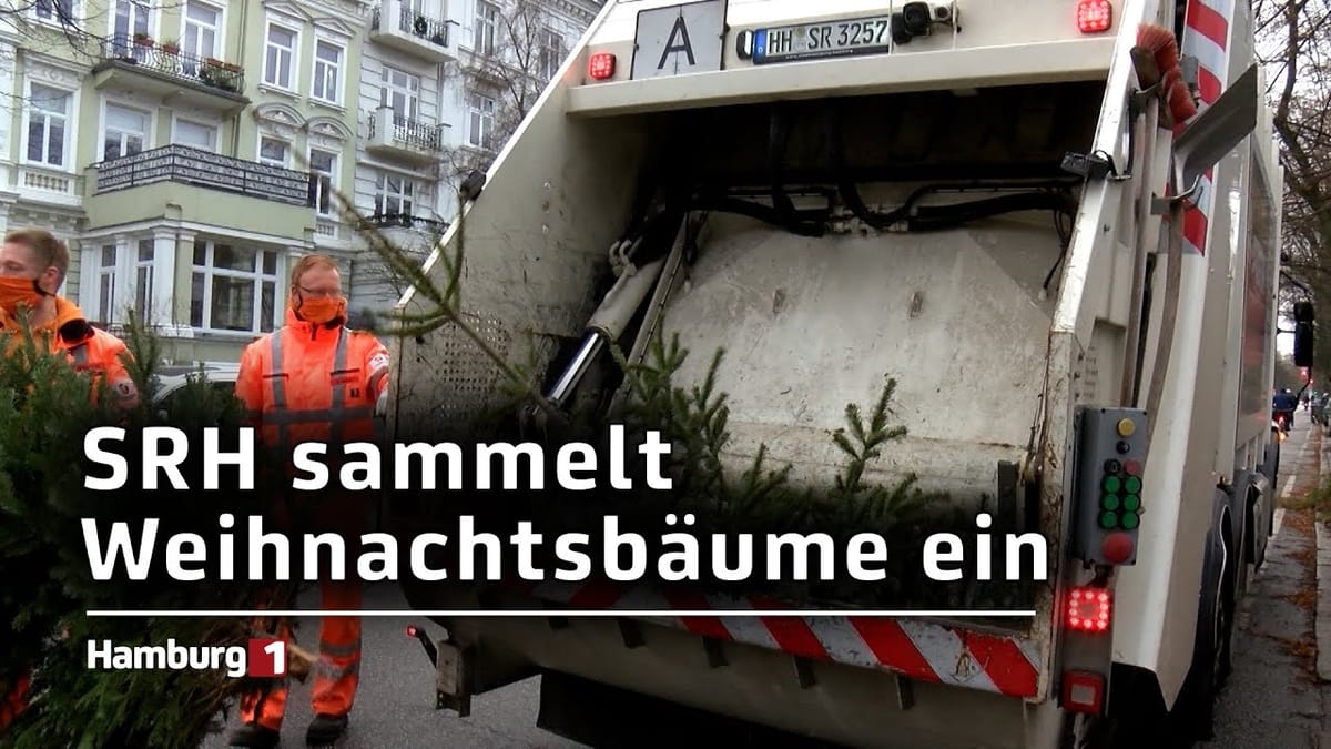 Weihnachtsbäume: Stadtreinigung Hamburg hat mit Einsammlung begonnen
