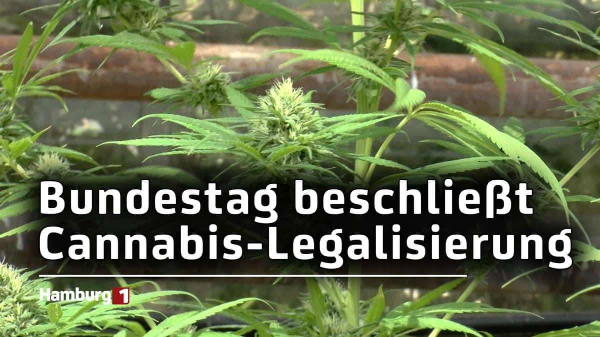 Cannabis ab 1. April legal