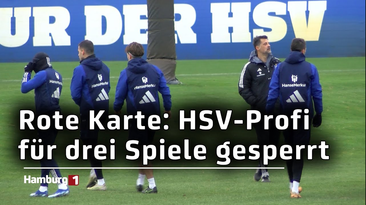 Rote Karte: HSV-Profi für drei Spiele gesperrt