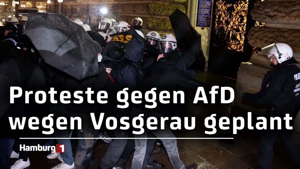 Geplante Proteste gegen AfD