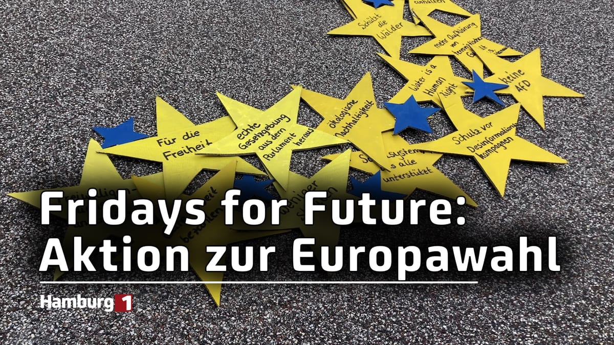 Fridays for Future: Aktion für Europawahl im Juni