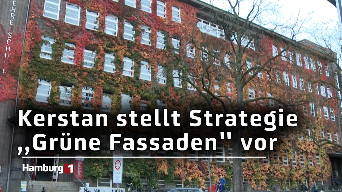 Strategie ,,Grüne Fassaden": Hamburg fördert begrünte Fassaden bis 2027