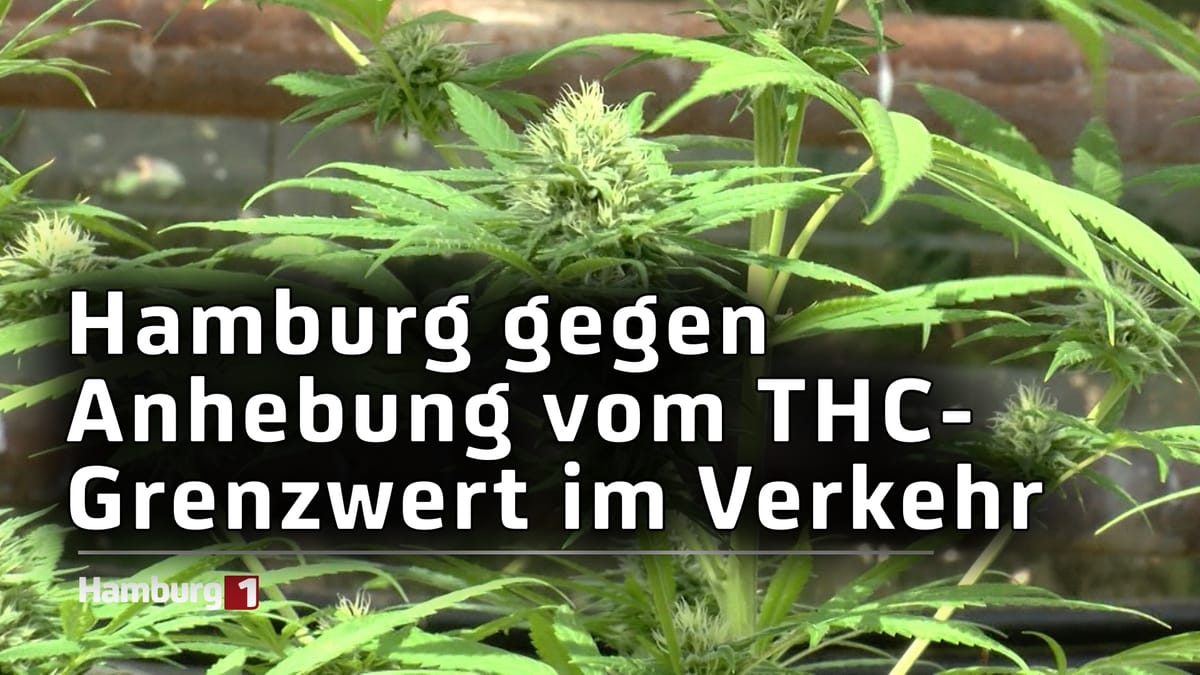 Hamburg gegen einen höheren THC-Grenzwert im Straßenverkehr