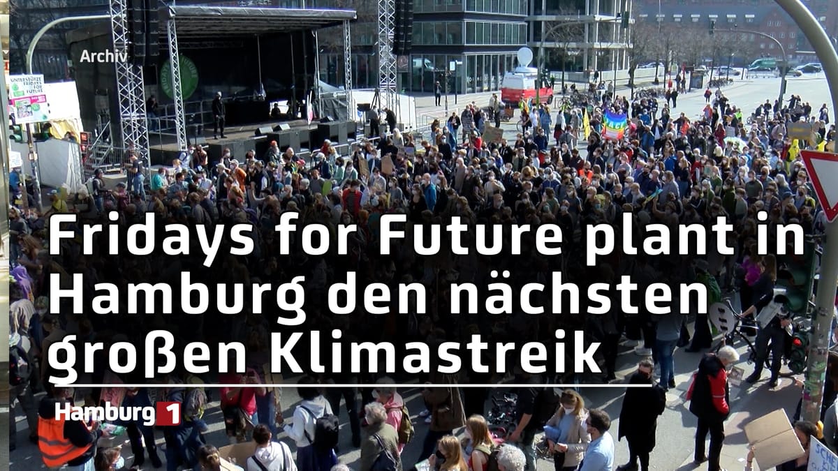 Fridays for Future plant den nächsten großen Klimastreik