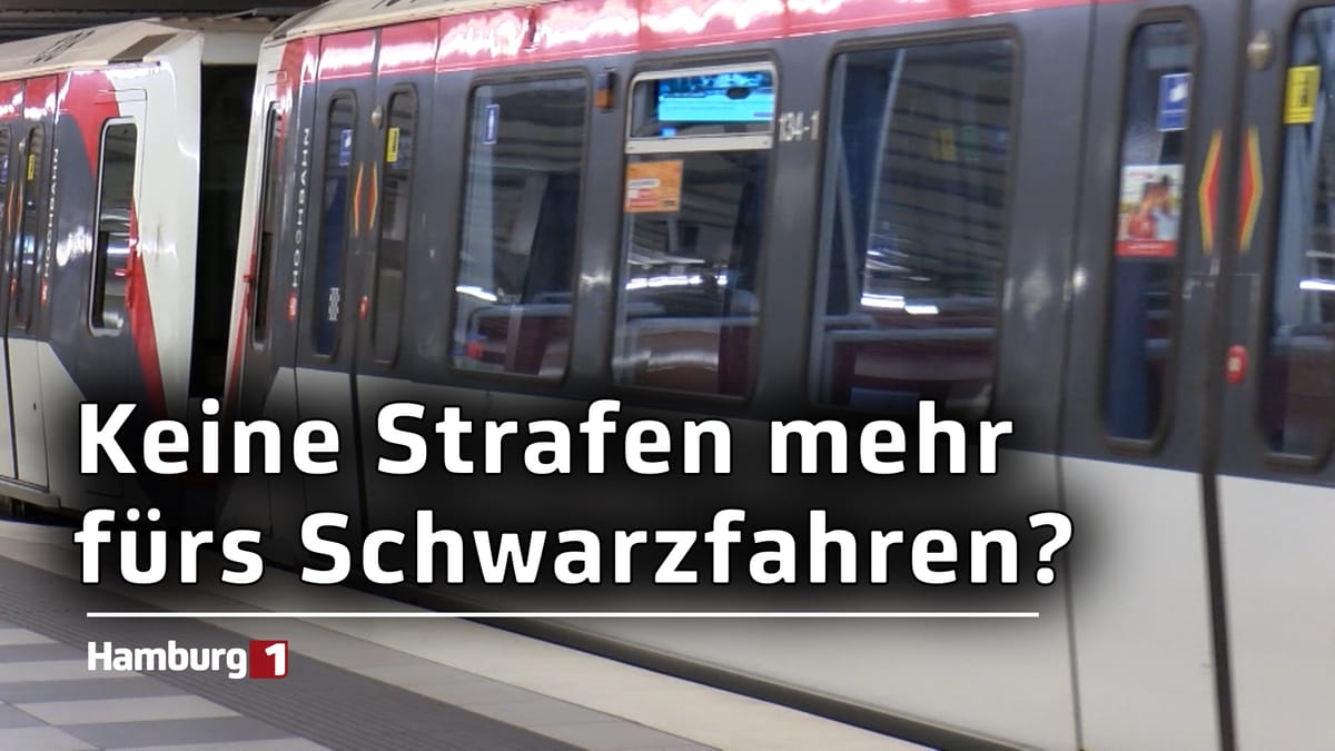 Linke will Schwarzfahren entkriminalisieren: Wie groß ist das Problem wirklich?