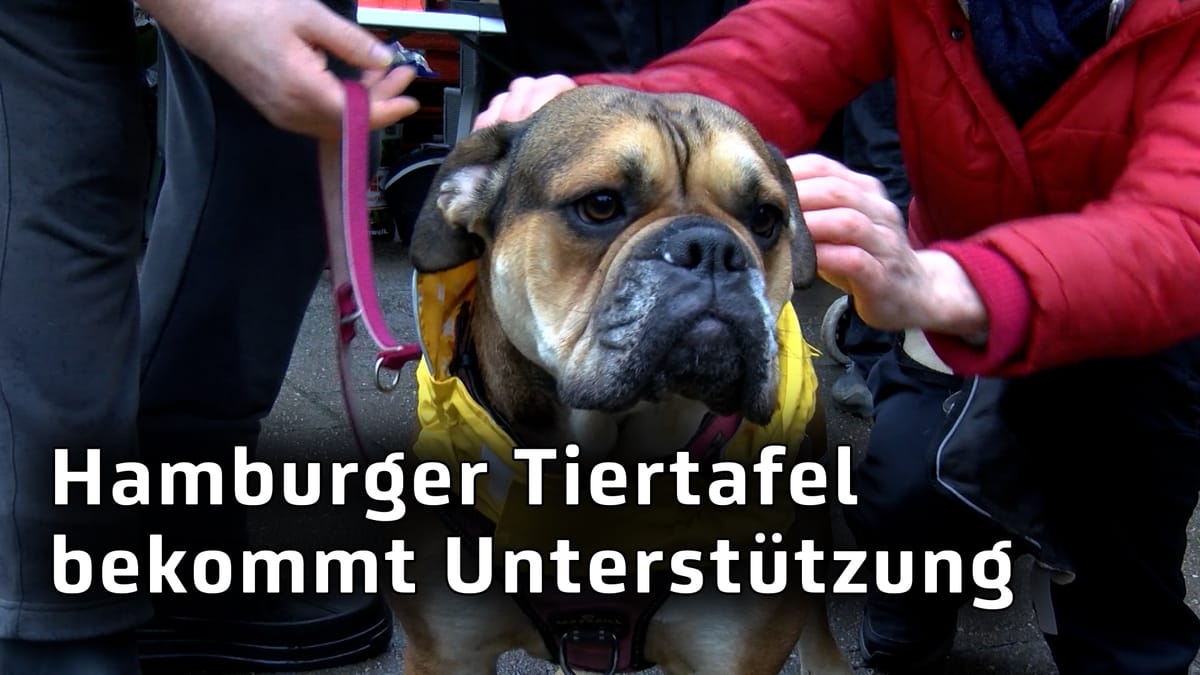 Neue medizinische Ausstattung für die Hamburger Tiertafel