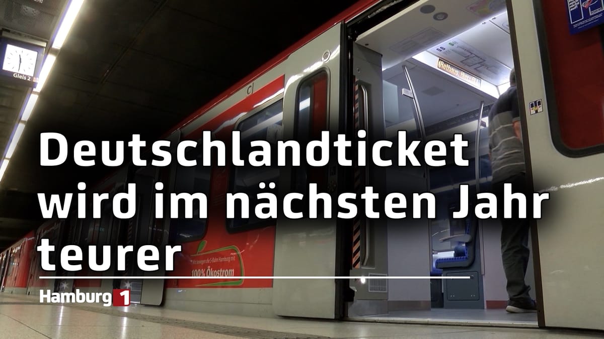 Das 49-Euro-Ticket wird ab dem kommenden Jahr teurer