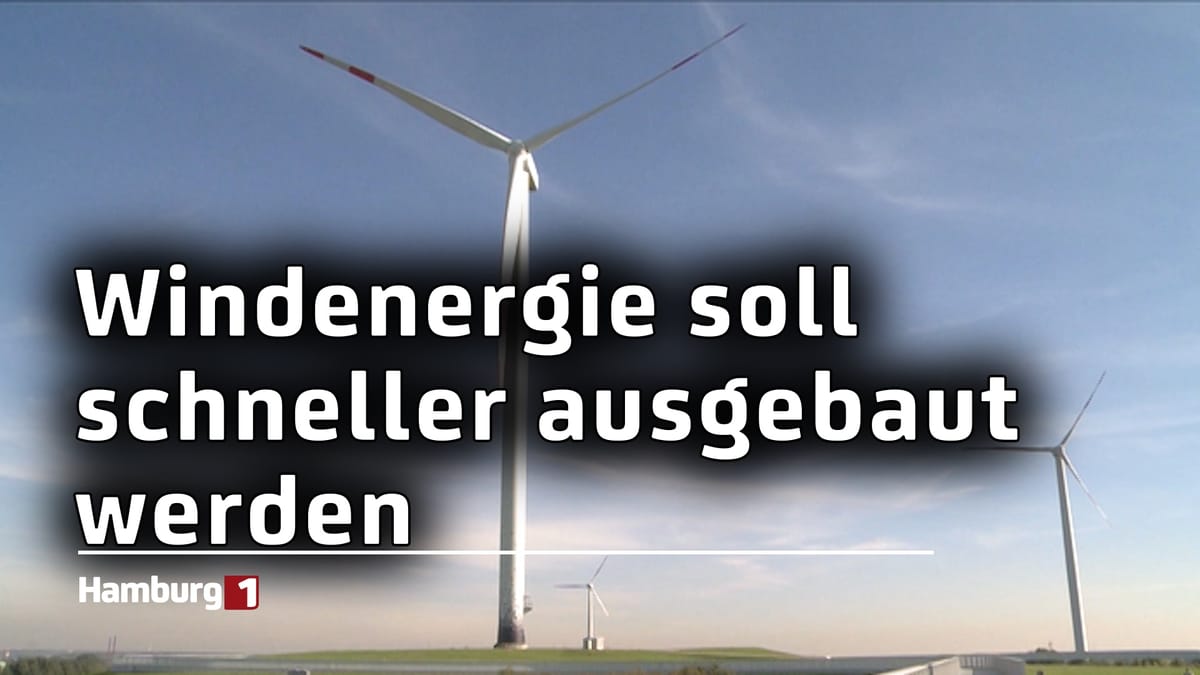 Windkraft in Hamburg: SPD und Grüne wollen Windenergie schneller als bislang geplant ausbauen