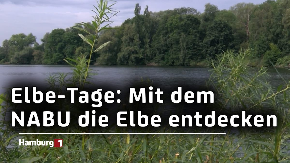 Elbe-Tage im September: Touren, Fahrten und Wanderungen an Hamburgs Lebensader