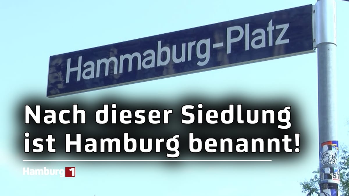 "Domplatz" wird zu "Hammaburg-Platz": Hier wurde Hamburg geboren