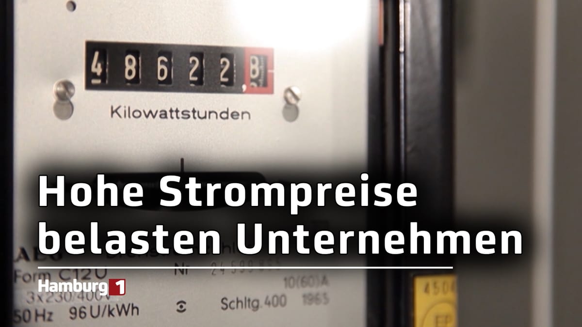 Wettbewerbsfähigkeit gefährdet: Energiepreise belasten norddeutsche Unternehmen