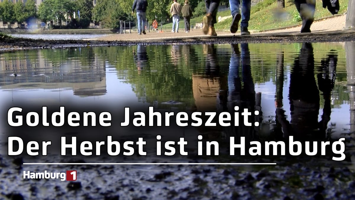 Regen, bunte Blätter und Kastanien: Der Herbst ist in Hamburg angekommen