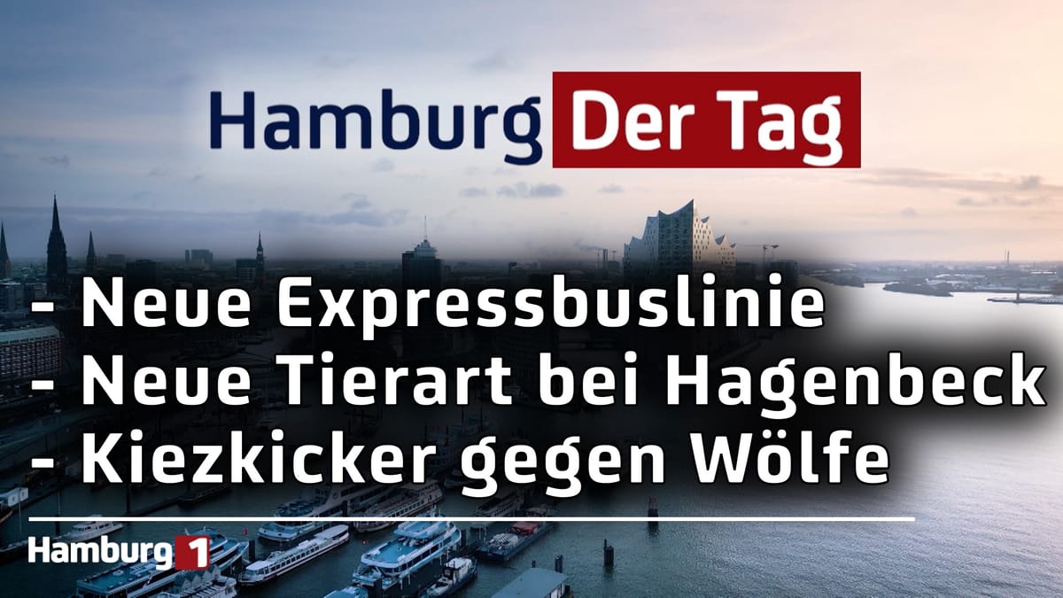 Hamburg Der Tag vom 23.10.2024