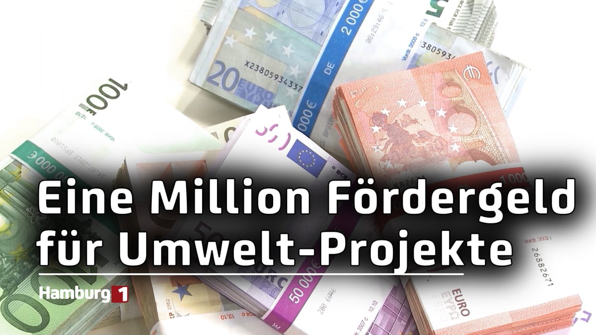 Fördergeld für Projekte: Bis zu eine Million Euro für Umwelt-Innovationen