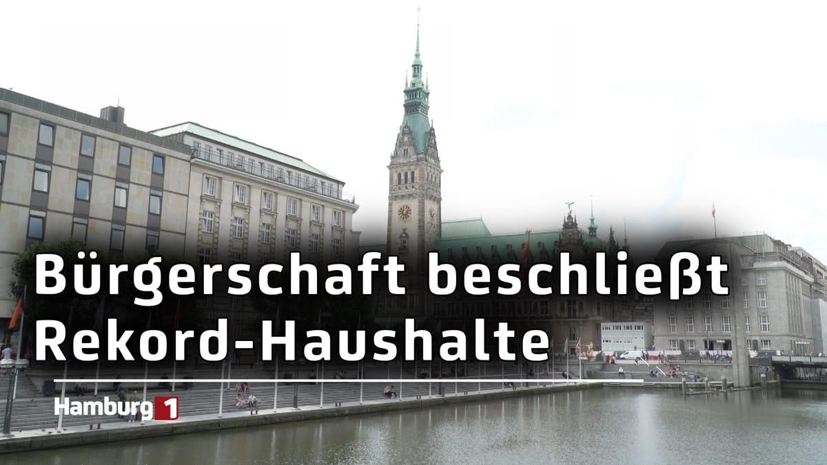 44 Milliarden Euro: Hamburg legt Behörden-Gelder fest