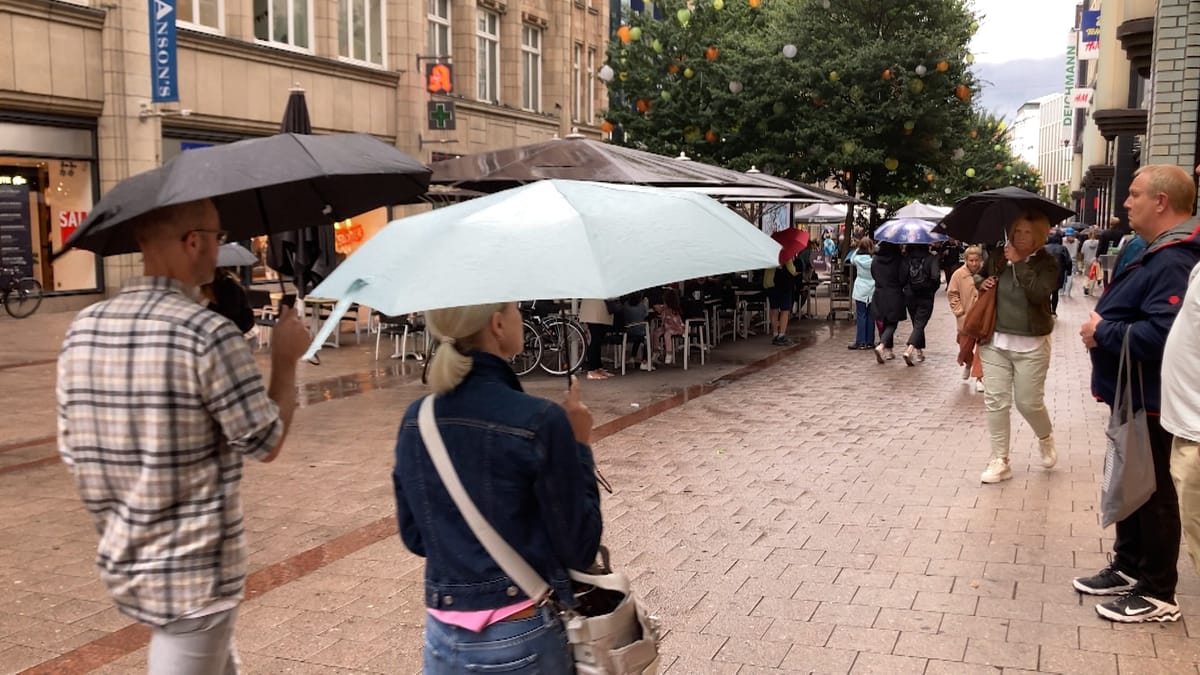 Wasserreport 2024: In Hamburg gab es so viel Regen wie seit mehr als 100 Jahren nicht