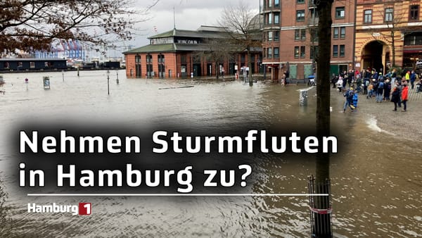 Mehrere Sturmfluten binnen weniger Tage - Nehmen die Hochwasser zu?