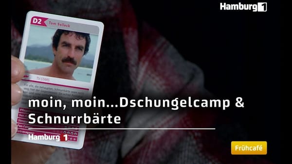 moin, moin...Dschungelcamp & Schnurrbärte