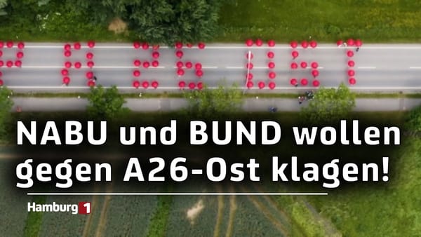 Umstrittene A26-Ost: Umweltschützer wollen gegen Autobahnerweiterung klagen