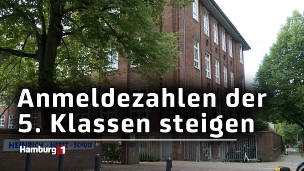 Anmeldezahlen steigen erneut