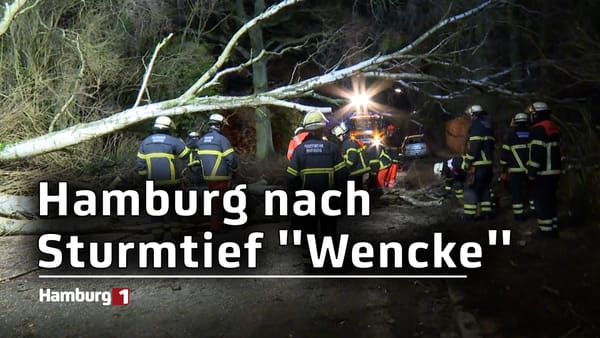 Hamburg nach dem Sturmtief