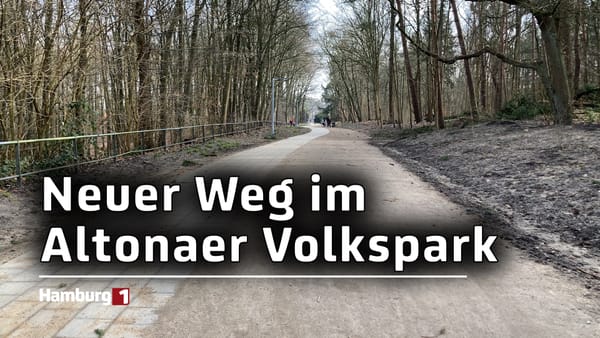 Weniger Asphalt - Mehr Natur im Altonaer Volkspark