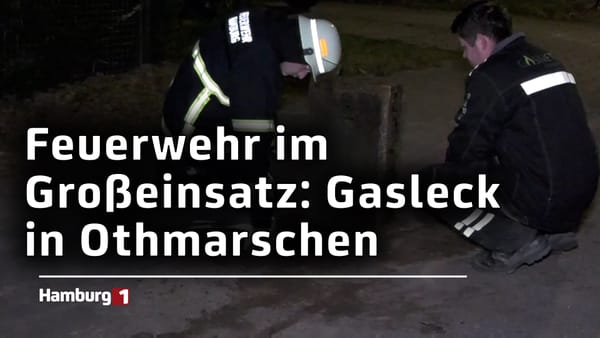 Anwohner riechen Gas und alarmieren Feuerwehr