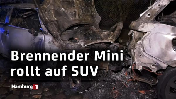 Mini setzt SUV in Brand