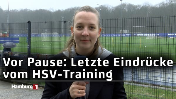 Vor Pause: Letzte Eindrücke vom HSV-Training