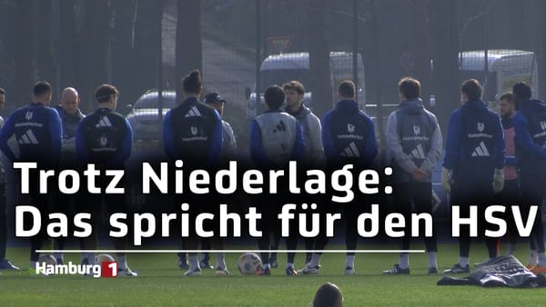 Trotz Niederlage: Das spricht für den HSV