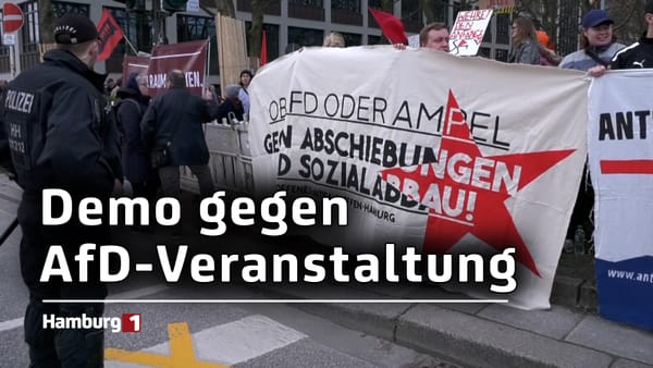 Demo gegen AfD-Veranstaltung