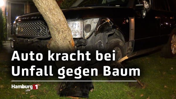 Auto kracht gegen Baum