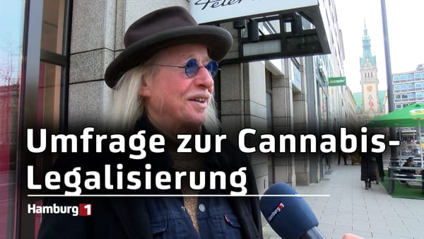 Cannabis wird erlaubt: Richtig oder falsch?