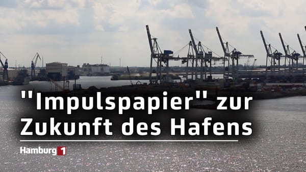 Die Zukunft des Hafens: So soll es weitergehen