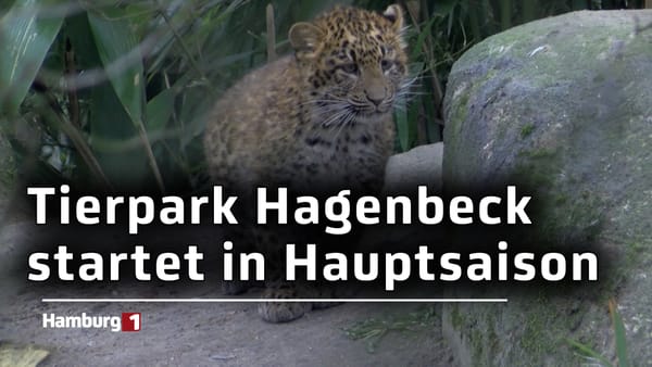 Hauptsaison bei Hagenbeck