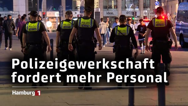 Steigende Gewalt in Deutschland: Hamburger Polizeigewerkschaft fordert mehr Personalpräsenz