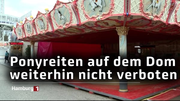 Ponyreiten noch immer nicht auf dem Hamburger Dom verboten