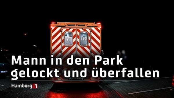 21-Jähriger Mann im Park überfallen und brutal verprügelt