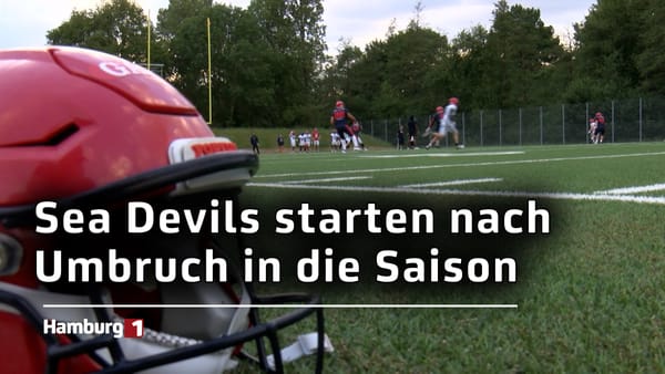 Mit neuen Spieler, Trainern und Vorstand: Hamburg Sea Devils wollen den Umbruch schaffen