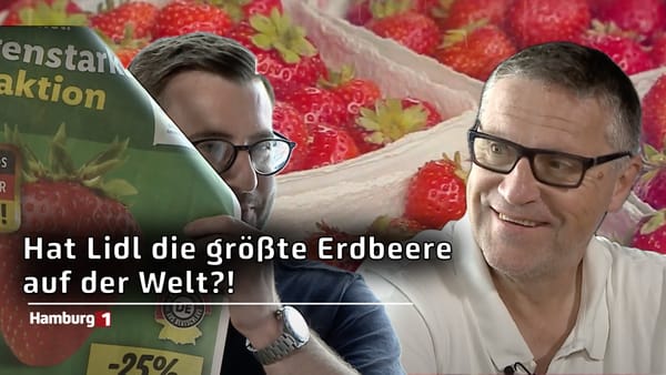 moin, moin... wer hat die größte Erdbeere?