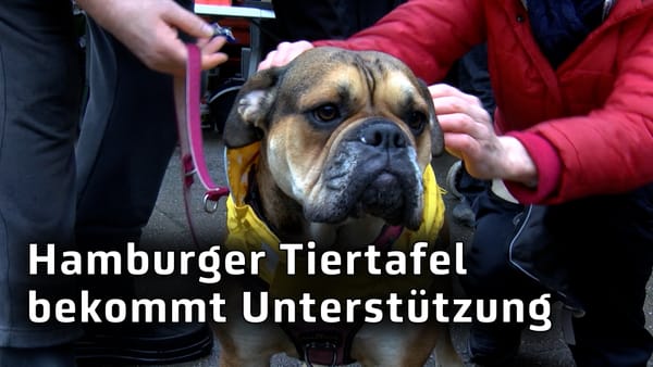 Neue medizinische Ausstattung für die Hamburger Tiertafel