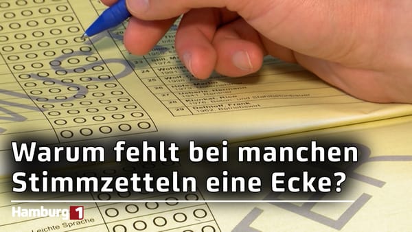 9. Juni 2024: Letzte Informationen zur Europa- und Bezirksversammlungswahl