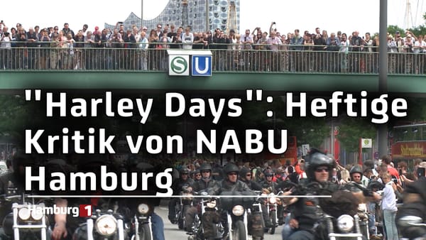 "Harley Days" passen nicht mehr zu Hamburg: NABU übt scharfe Kritik