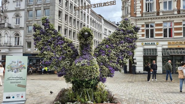 Hamburger Innenstadt: Dutzende Lampions, Bäume und Blumen verwandeln die City in einen Sommergarten