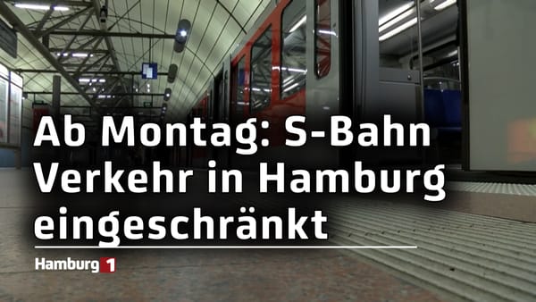 In den Sommerferien: Bauarbeiten schränken den S-Bahn-Verkehr in Hamburg ein