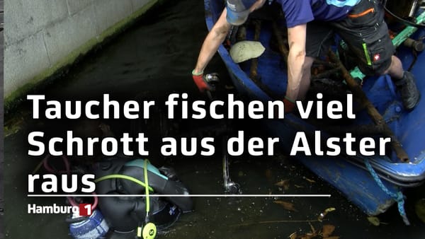 Aufräumaktion: Freiwillige Taucher fischen viel Schrott aus der Alster raus