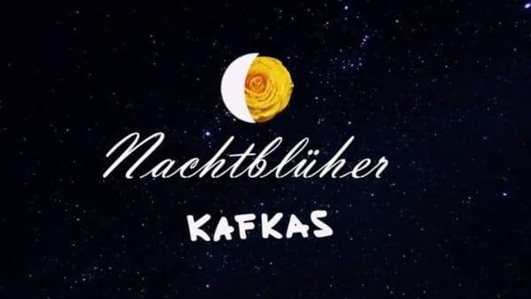 "Nachtblüher" - der neue Song von Kafkas