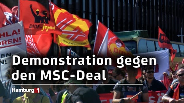 Gegen Teilverkauf der HHLA: Hunderte demonstrieren gegen MSC-Deal